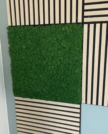 Akustikpanel Med Mos 60x60