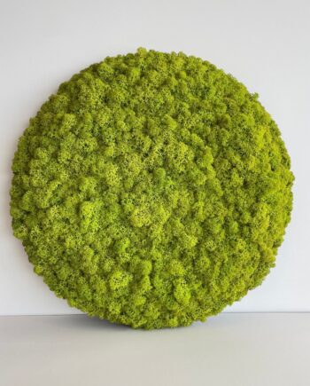 Filt Akustik Cirkel Med Mos