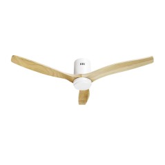 Hombli Smart Ceiling Fan Light