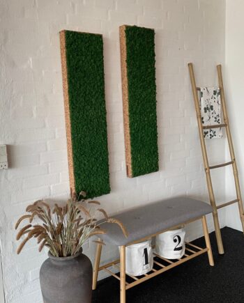 Oekoboard Basic Mos Rektangel