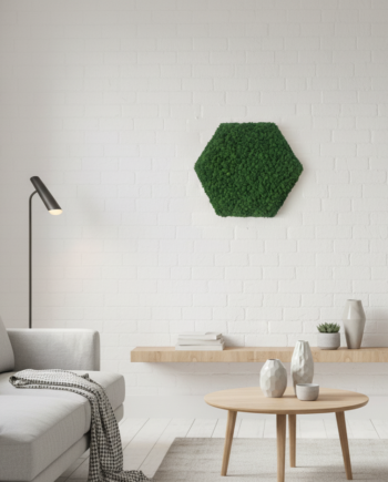 Oekoboard Basic Mos Sekskant