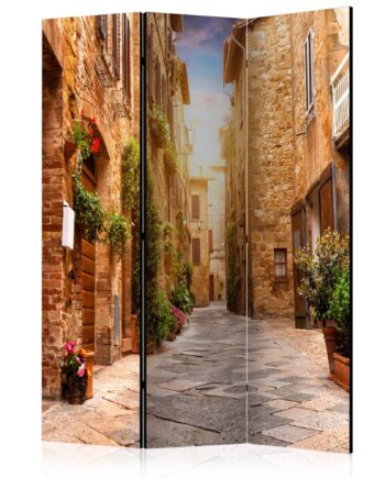Skærmvæg Colourful Street Tuscany