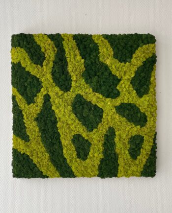 Mos Firkant Farver 50x50 Restsalg