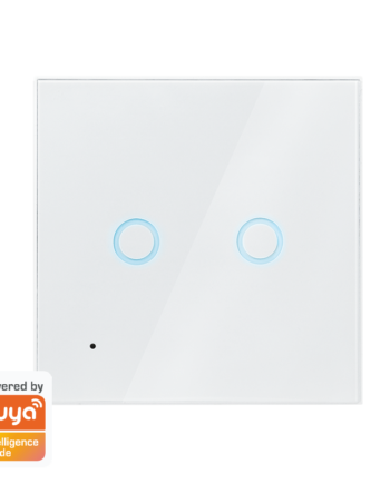 Smart Dual Wall Switch Tuya Compatibel