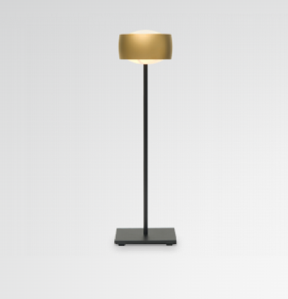 Grace Bordlampe Oligo Mat Guld
