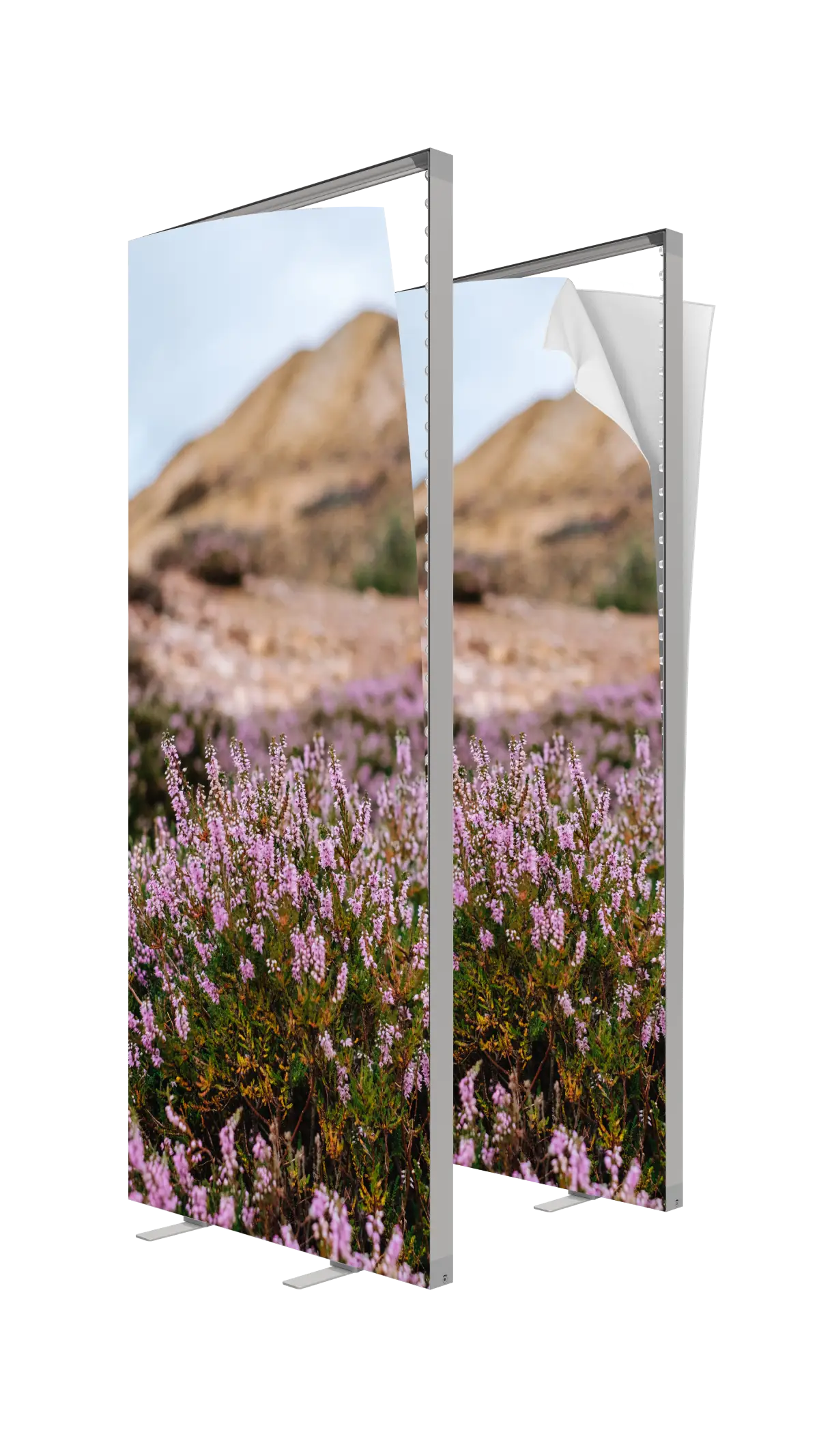 Pop Lightbox Free Standing 85x200
