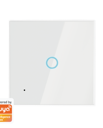 Smart Wall Switch Tuya Compatible