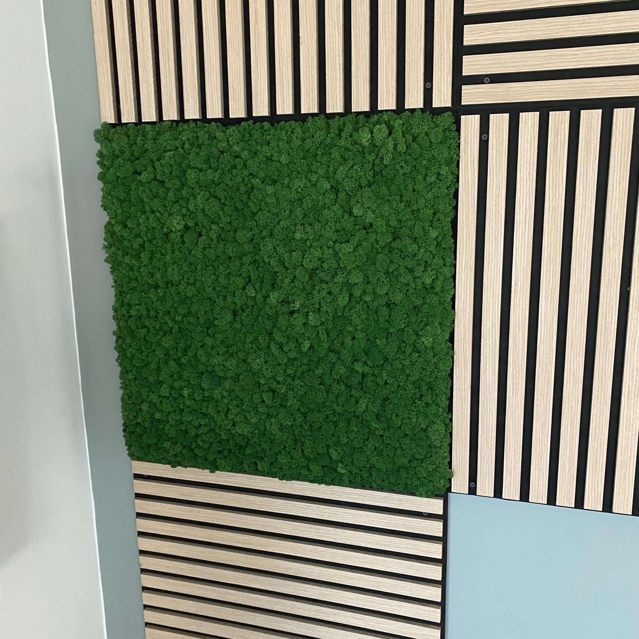 Akustikpanel Med Mos 60x60