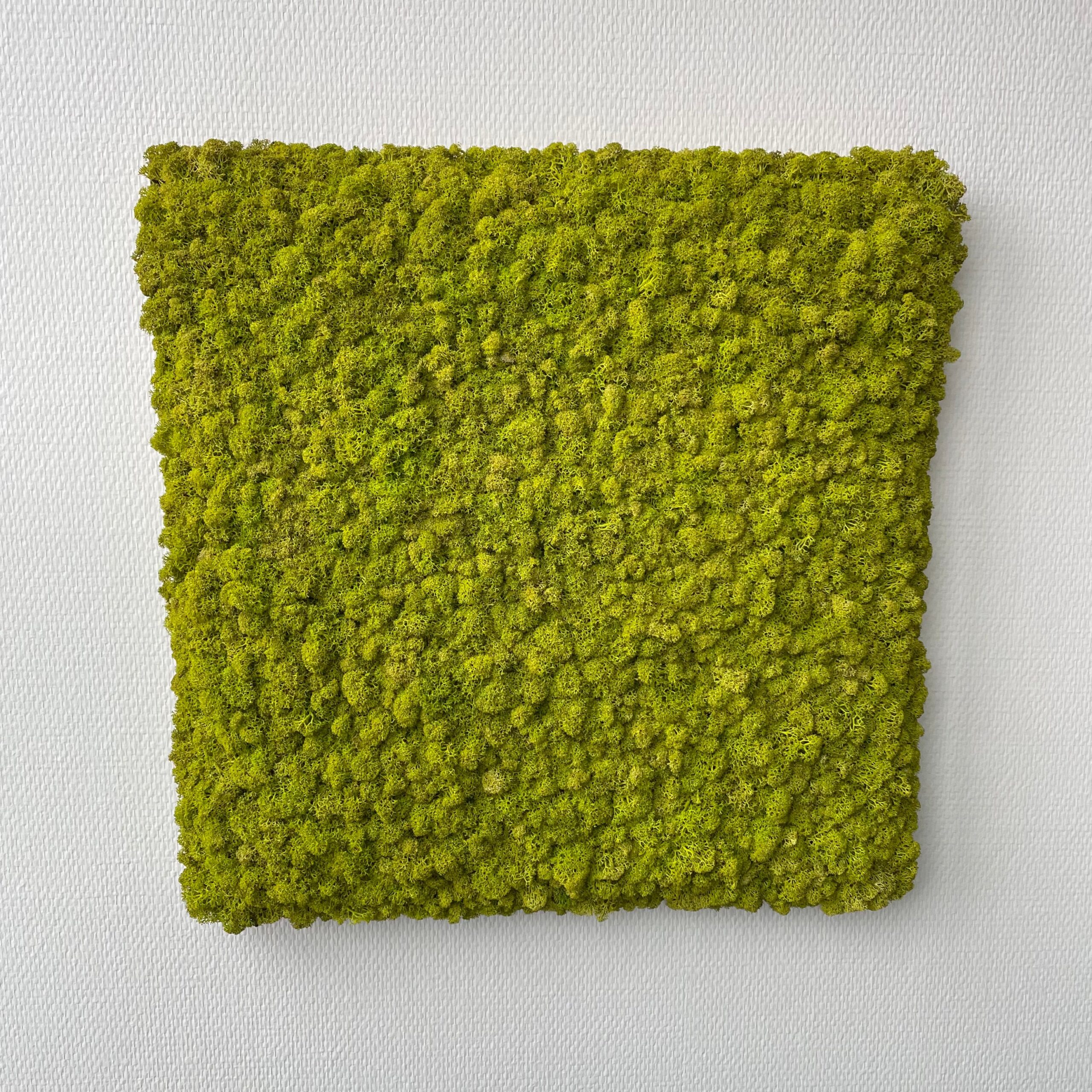 Limegrøn Mos Firkant 50x50 Restsalg