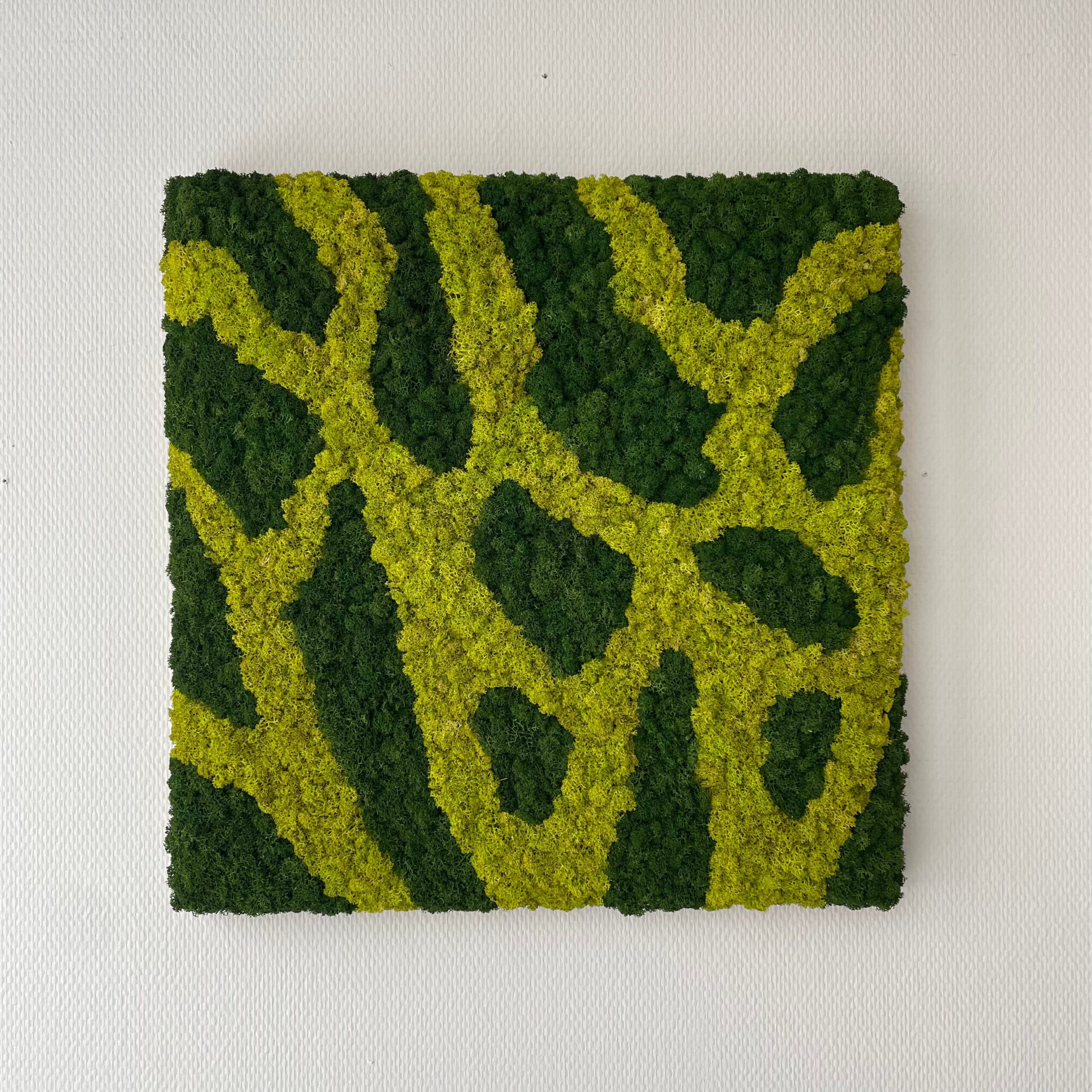 Mos Firkant Farver 50x50 Restsalg
