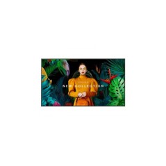 Samsung Qbc Series Qb55c Uhd 2160p Smart
