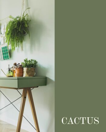 Træmaling: Fashion : Cactus